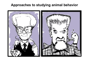 Approaches to studying animal behavior