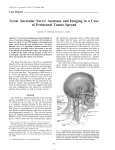 Great Auricular Nerve - American Journal of Neuroradiology