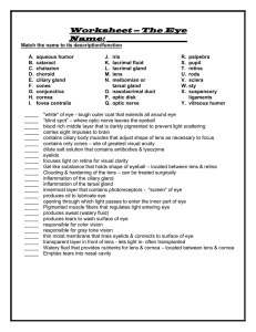 Quiz – The Eye