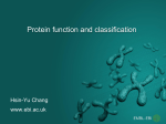 Protein Function and Classification