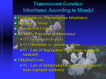 Transmission Genetics: Inheritance According to Mendel