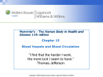 Class 25 blood vessels
