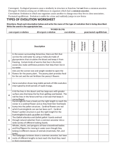 types of evolution worksheet