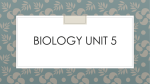 Biology unit 5