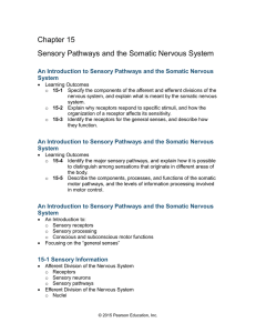 15-5 Somatic Motor Pathways