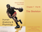 Chapter 7 PowerPoint - Hillsborough Community College