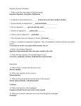Digestion Systems Worksheet