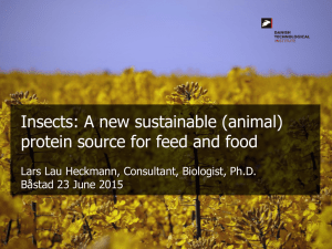 Insects: A new sustainable (animal) protein source for feed and food