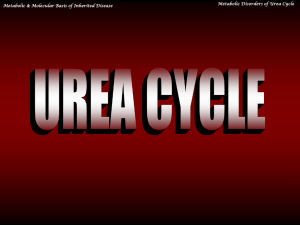 32_Metabolism of ammonia. Biosynthesis of urea and its disorders