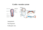 Cardio- vascular system