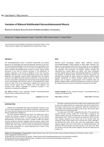 Variation of Bilateral Multiheaded Sternocleidomastoid Muscle