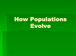 The Change of Population Allele Frequencies