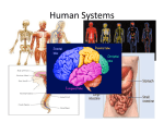 Human Systems - Net Start Class