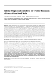 Habitat Fragmentation Effects on Trophic Processes of
