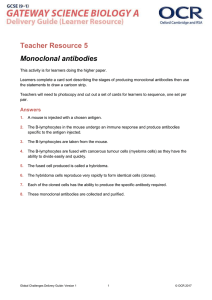 Teacher Resource 5: Monoclonal antibodies