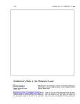 Evolutionary Rate at the Molecular Level