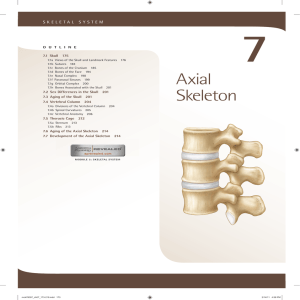 7. Axial Skeleton