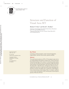 Structure and Function of Visual Area MT