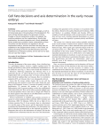 Cell fate decisions and axis determination in the