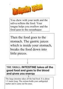 Then the food goes to the stomach. The gastric juices which is inside