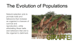 The Evolution of Populations