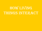 How Living things interact