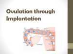 Ovulation through implantation
