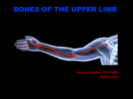 1-BonesUpperLimb