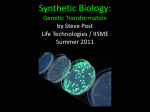 Synthetic Biology: Gene Transformation and Protein Purification