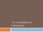 17-4 Patterns of Evolution