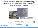 Storage effects in intermittent river ecology: implications for