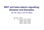 WNT and beta-catenin signalling: diseases and therapies. Nat. Rev