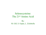 Selenocysteine: The 21 Amino Acid