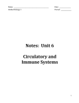 Unit 6 Notes File