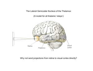 The Lateral Geniculate Nucleus of the Thalamus (A model for all