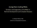 (Long) Non-Coding RNAs - Center for Computational Sciences