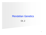 Mendelian Genetics