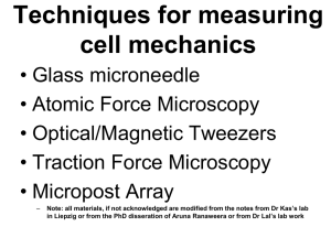 Cell Mechanics