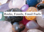 Class PowerPoint on Rock Cycle, Fossils, and Fossil