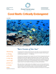 Coral Reefs: Critically Endangered