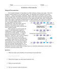 Bio-Macromolecules Worksheet.doc