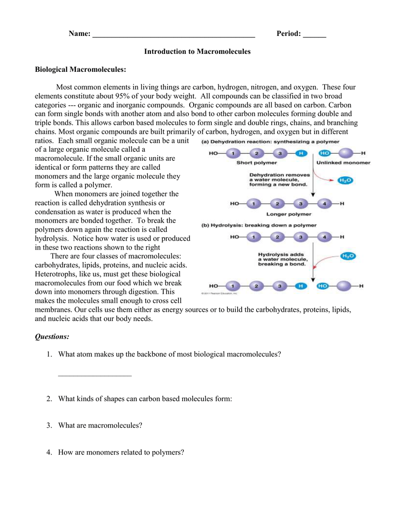 Worksheets Organic Macromolecules Worksheet bio macromolecules worksheet doc