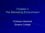 Chapter 3 The Marketing Environment