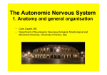 The Autonomic Nervous System