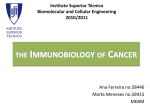 the immunobiology of cancer