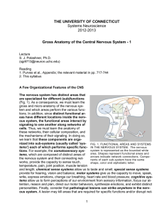 text - Systems Neuroscience Course, MEDS 371, Univ. Conn. Health