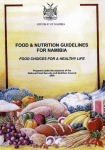 Food and nutrition guidelines for Namibia