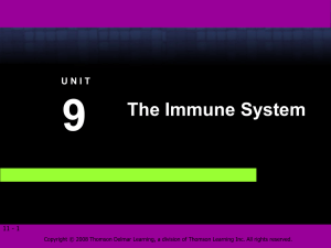The Function of the Immune System