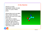 The 20 amino acids