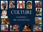Culture - sociology1-2
